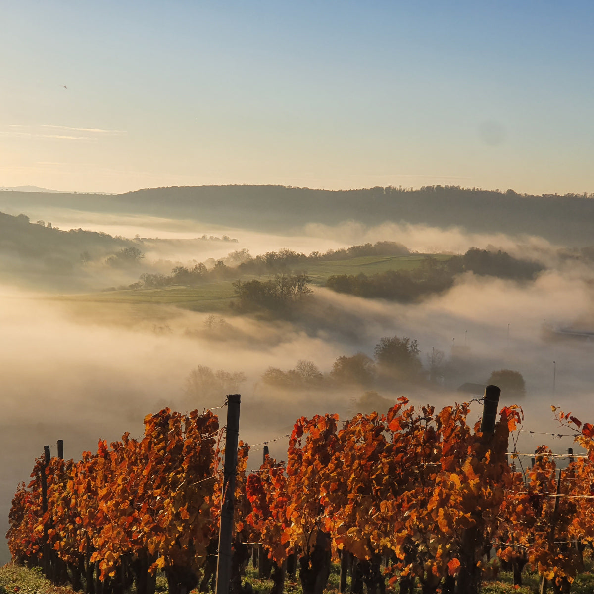 Herbstmorgen in Mühlhausen