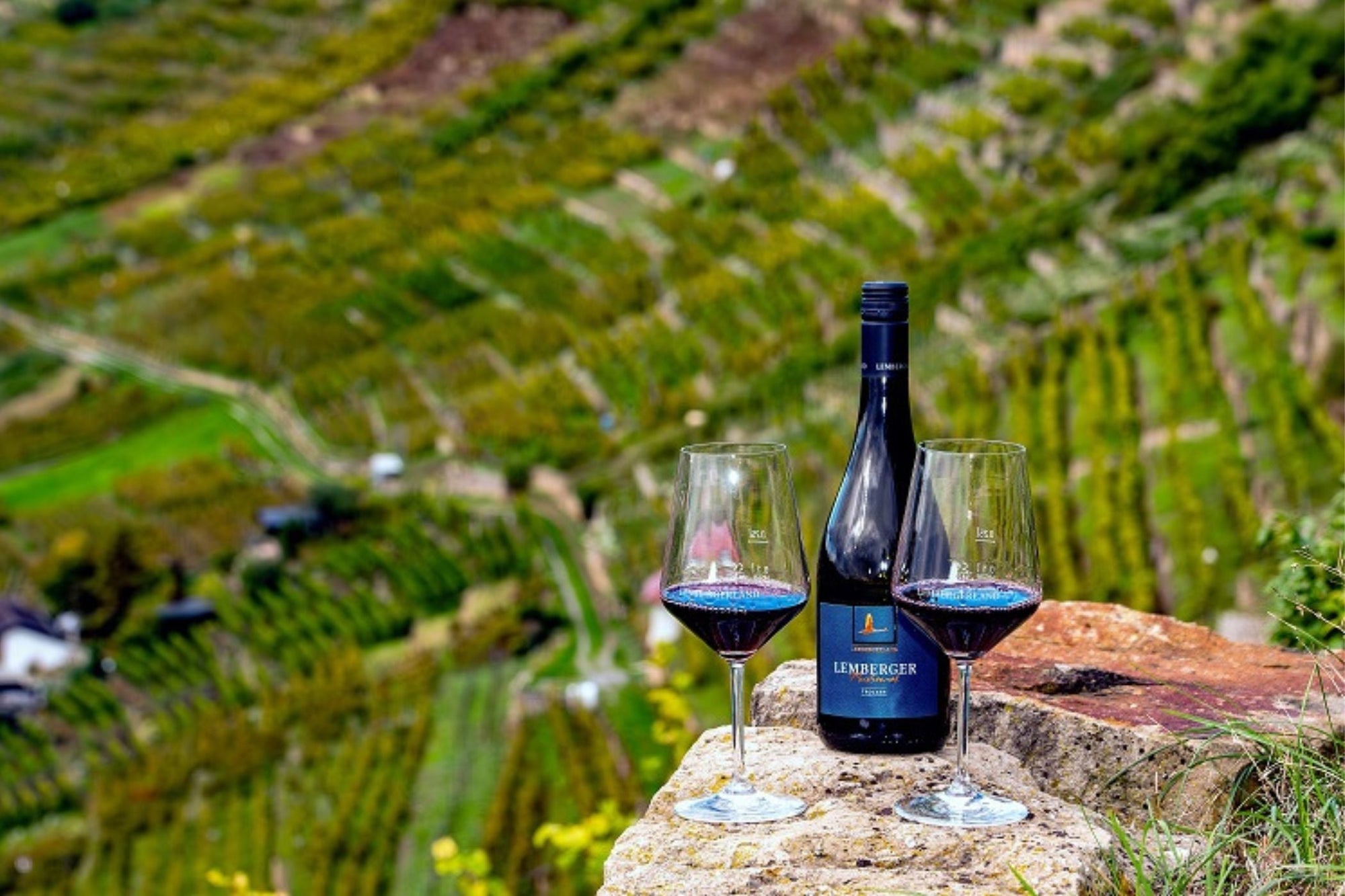Warum Wein draußen anders schmeckt – ein Blick hinter die Kulissen