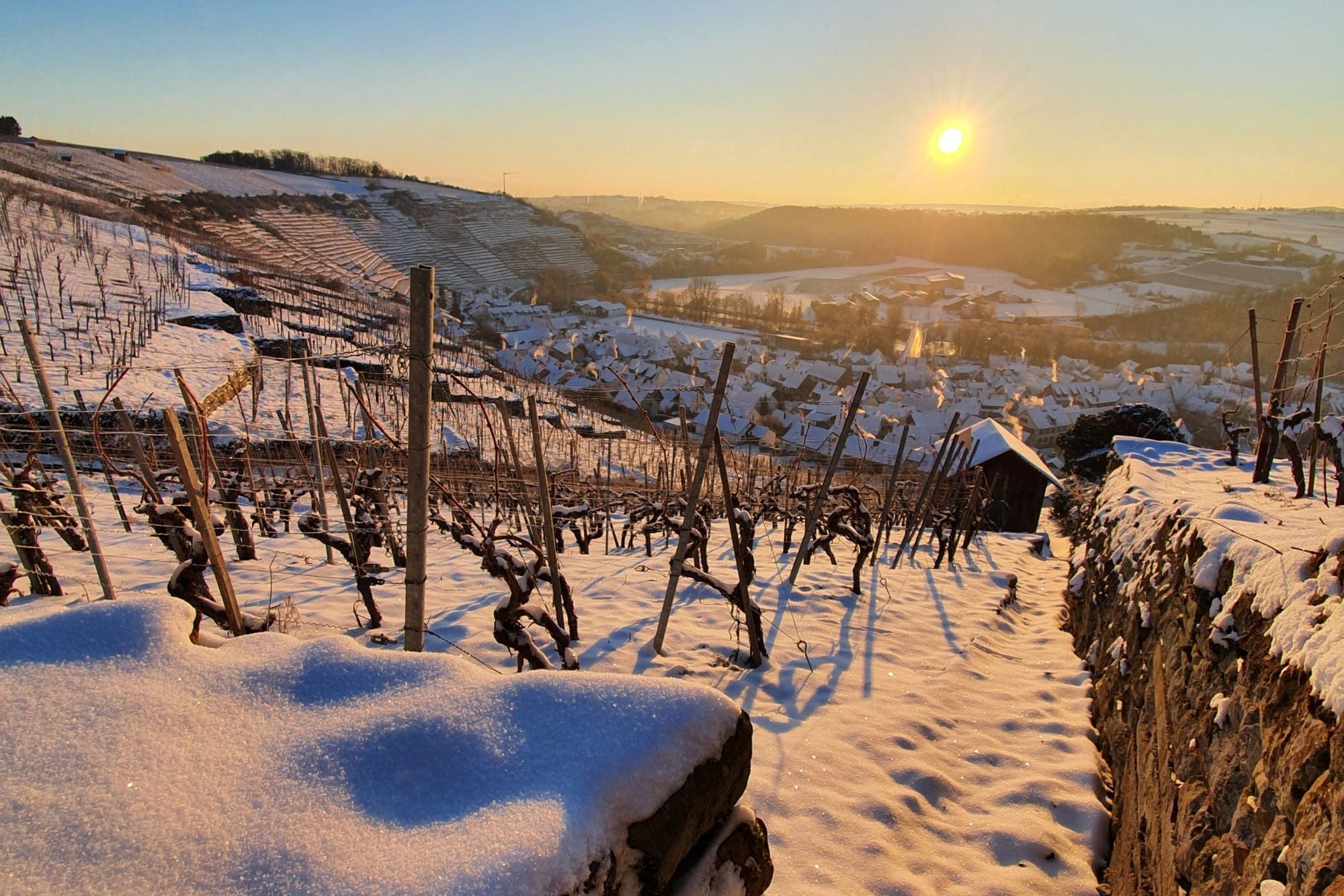 Die Winterruhe im Weinberg
