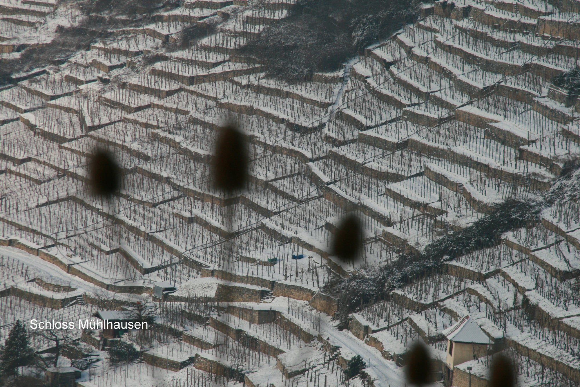 Die Winterruhe im Weinberg