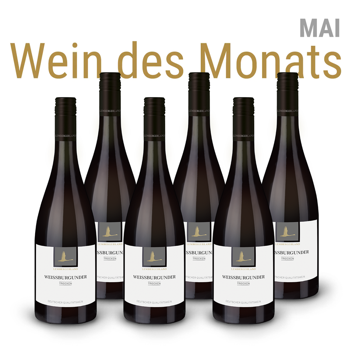 Wein des Monats Mai | 6er-Paket Weißburgunder trocken