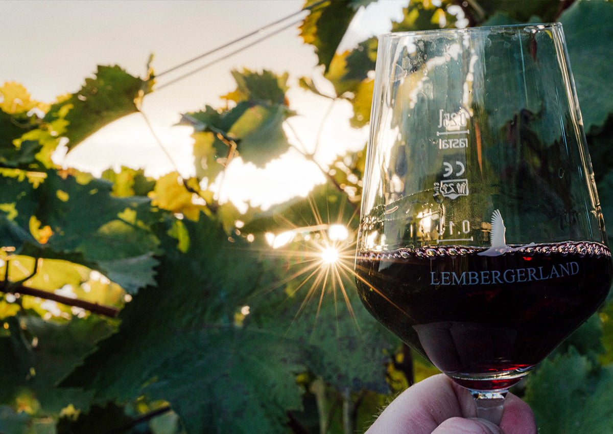 Wein & Poesie | Weinberg-Tour mit Maeggi | 03.05.2026