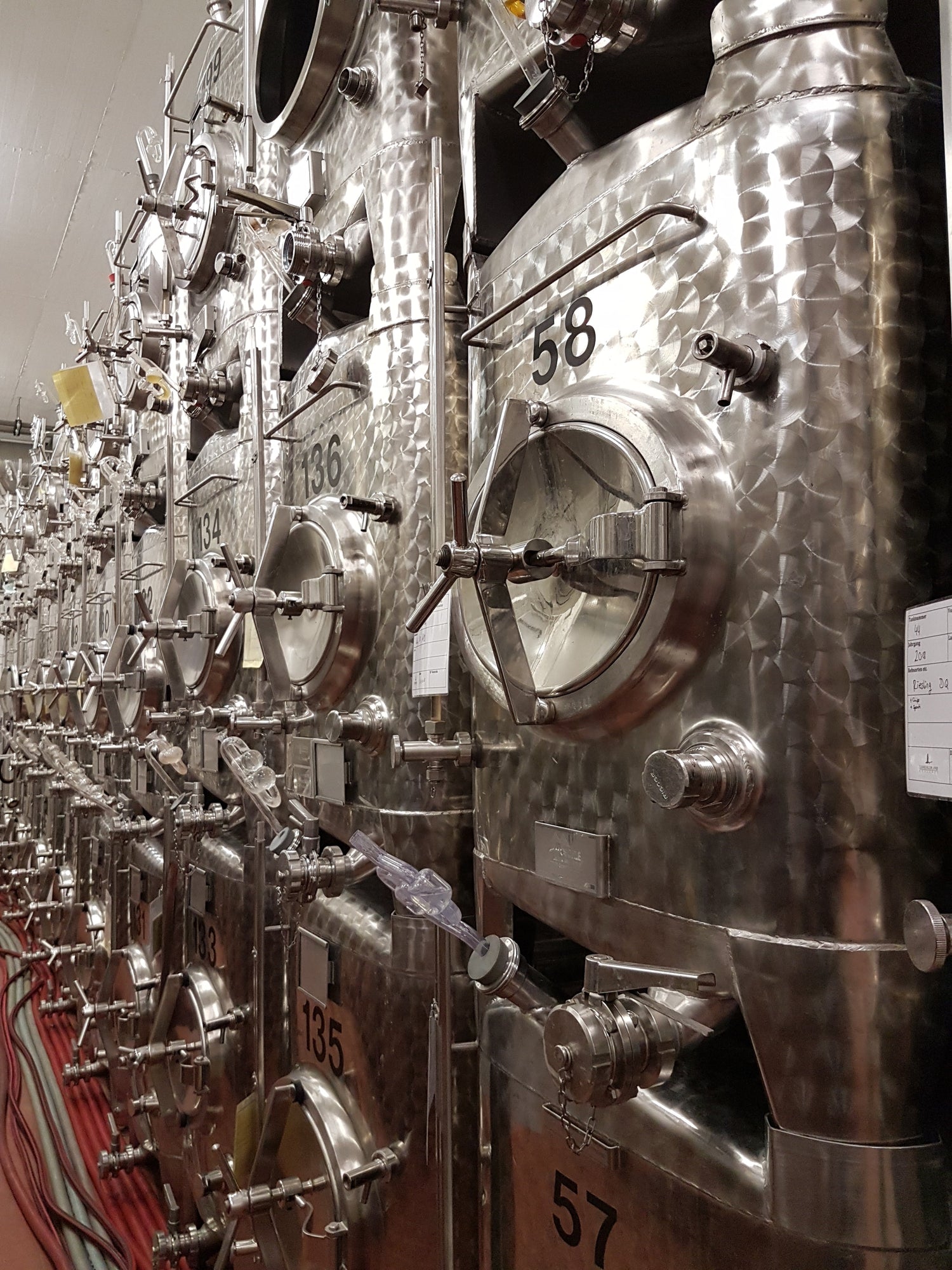 Ein Blick in den Weinkeller: Wenn der junge Wein Form annimmt