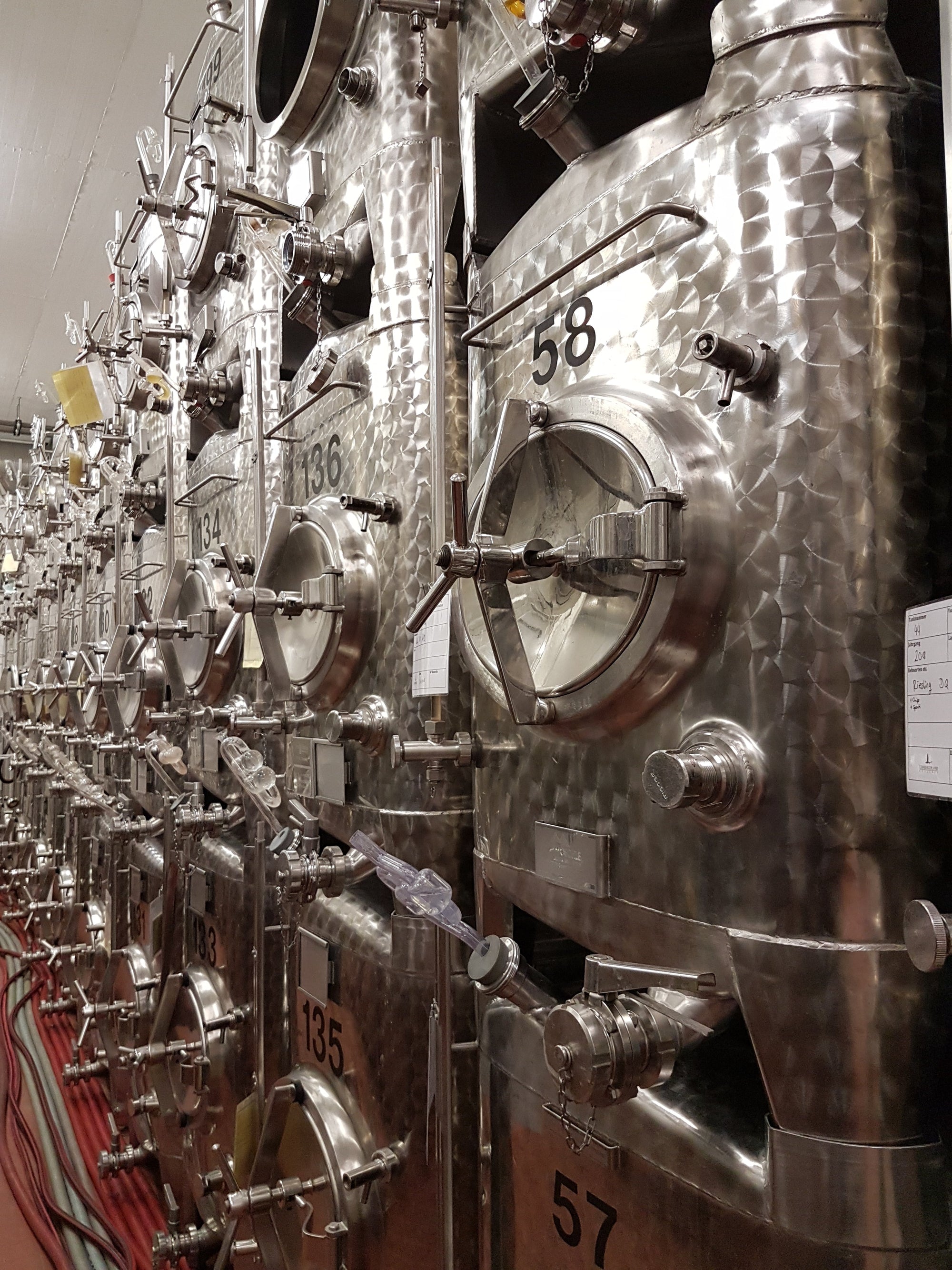 Ein Blick in den Weinkeller: Wenn der junge Wein Form annimmt