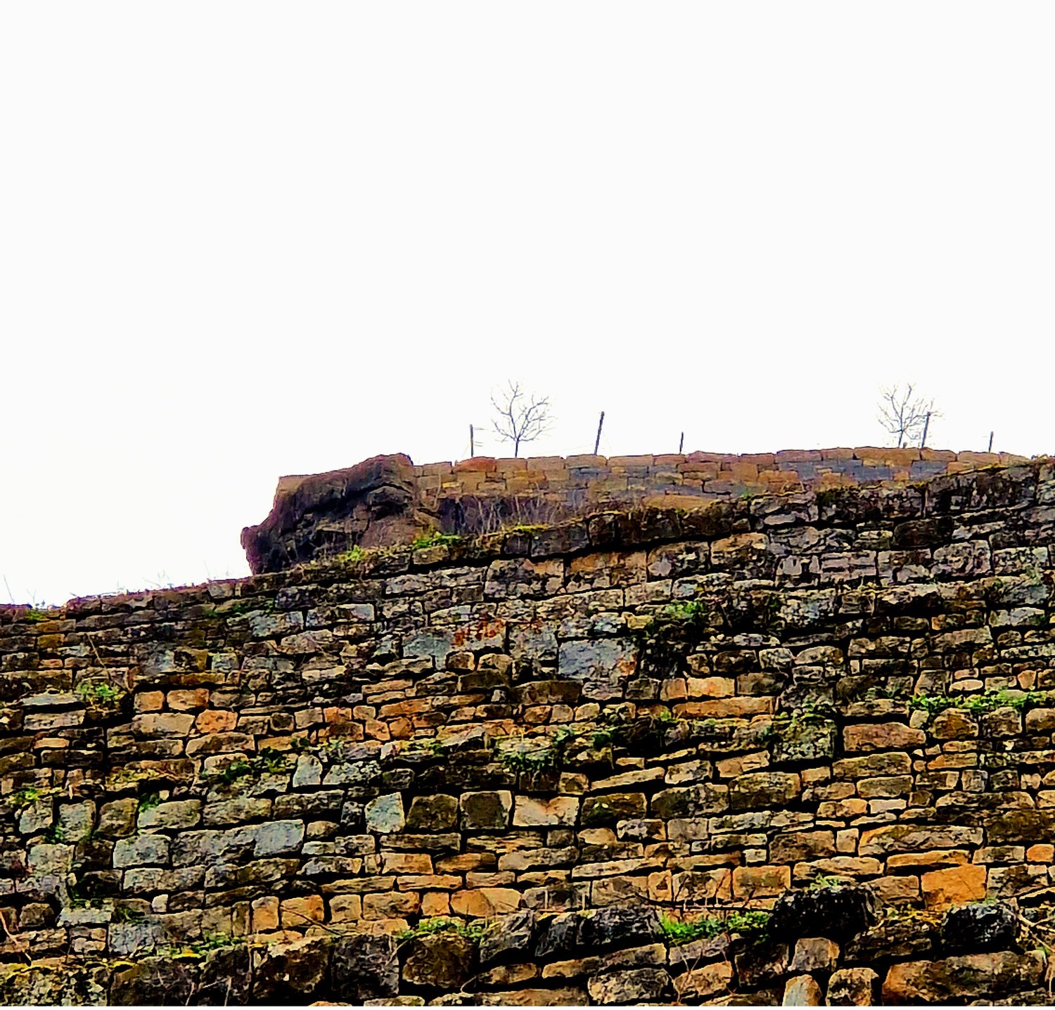 Von Bewuchs befreite Trockenmauer