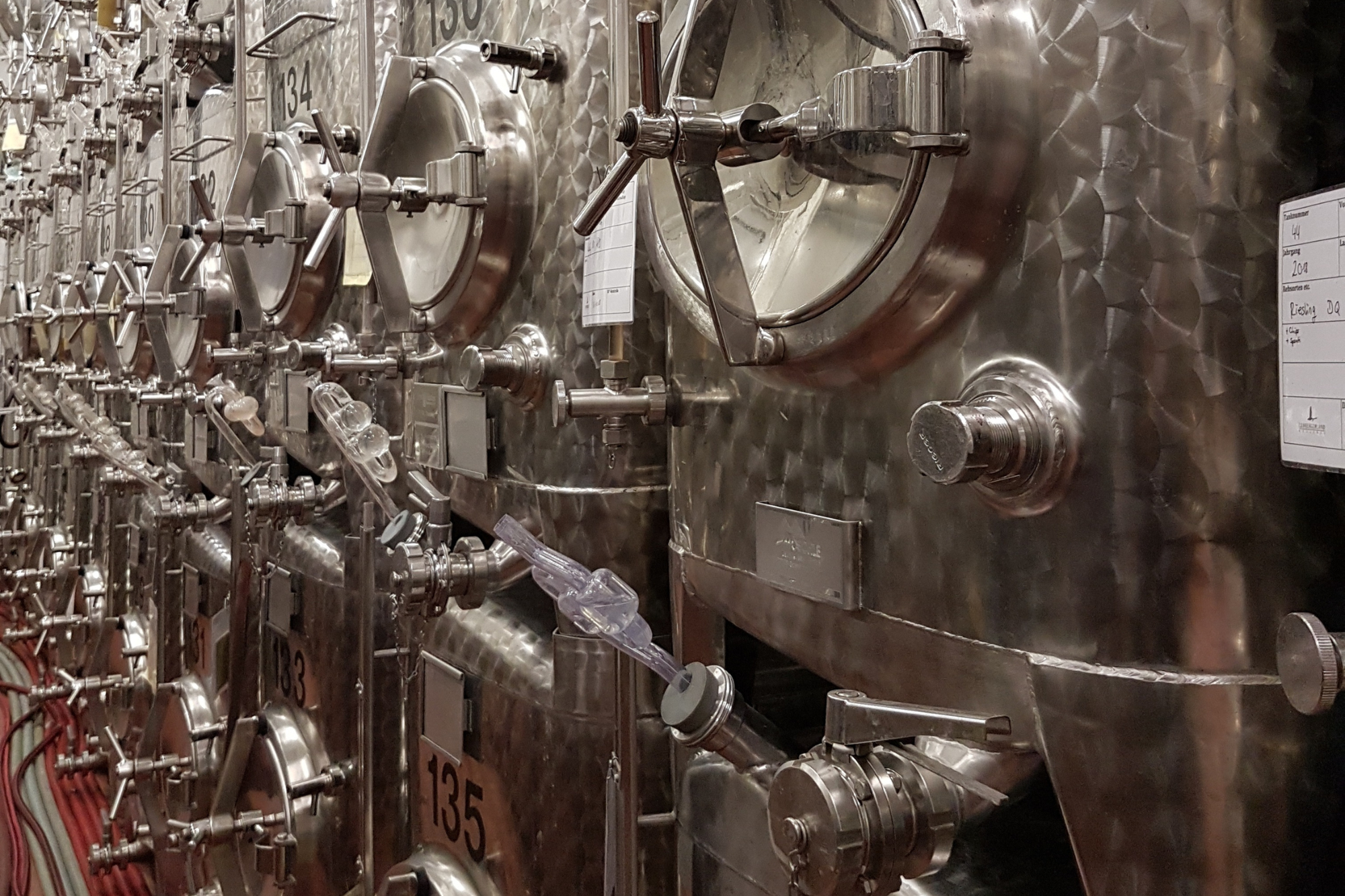 Ein Blick in den Weinkeller: Wenn der junge Wein Form annimmt