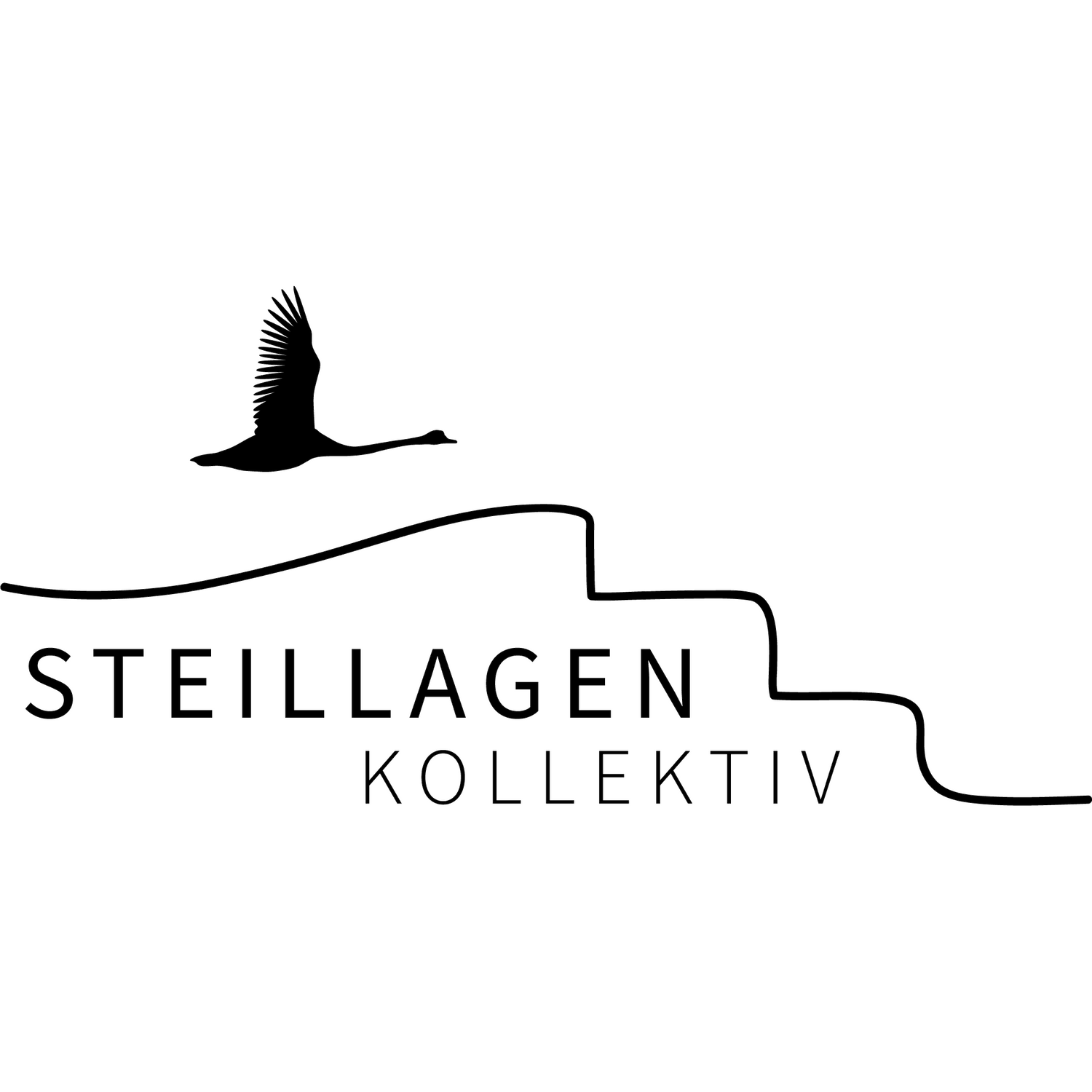 Steillagenkollektiv