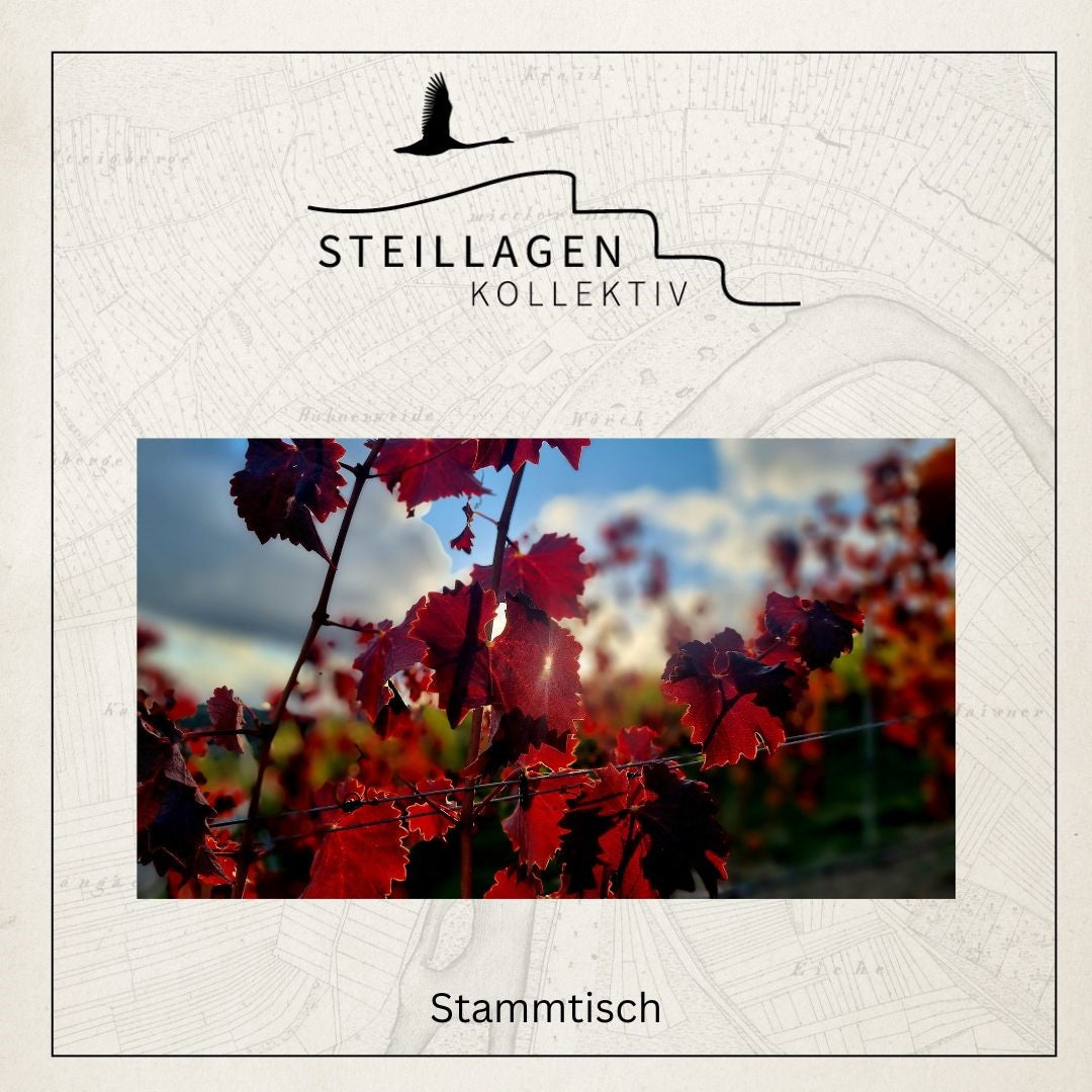 Steillagenkollektiv - Stammtisch 25.09.2025