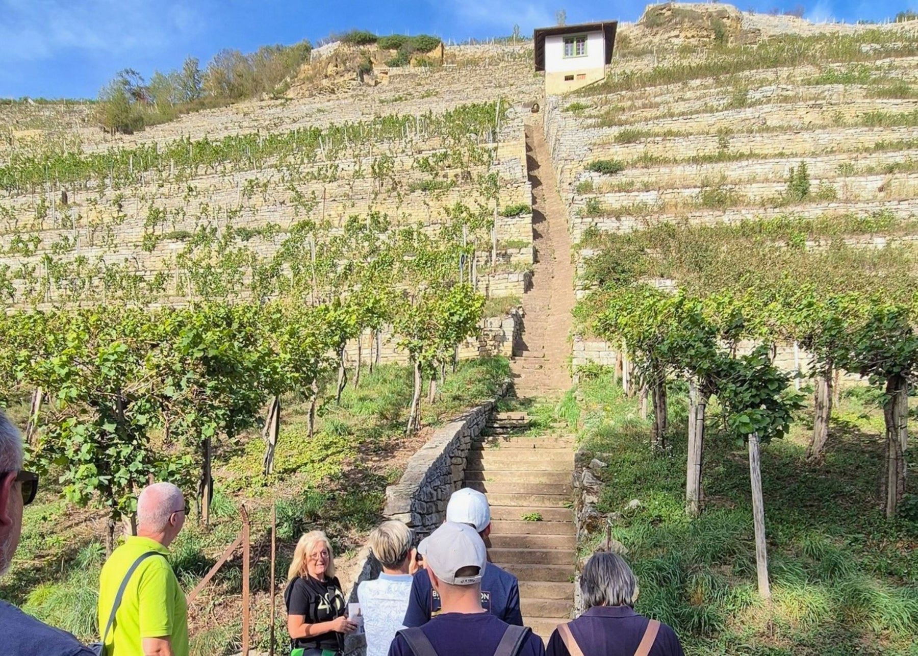 401 & Zeitenwandel - Weinbergtour mit Claudia | 25.04.2027
