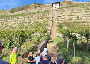 401 & Zeitenwandel - Weinbergtour mit Claudia | 25.04.2027