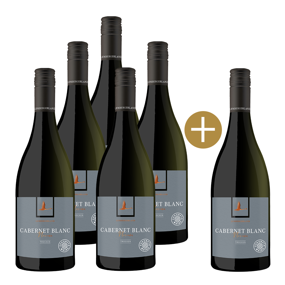 Cabernet Blanc "Novum" trocken 5+1