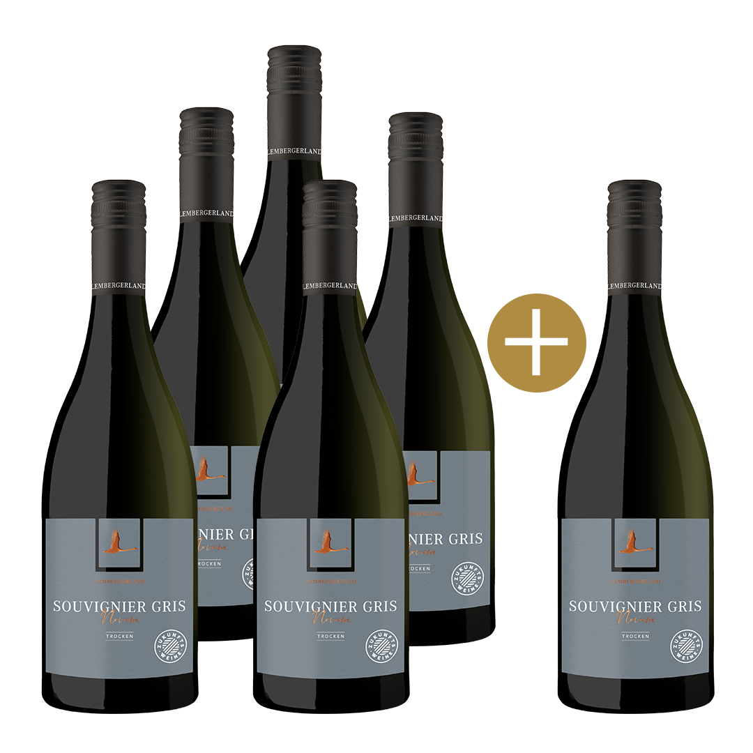 Souvignier Gris "Novum" trocken 5+1
