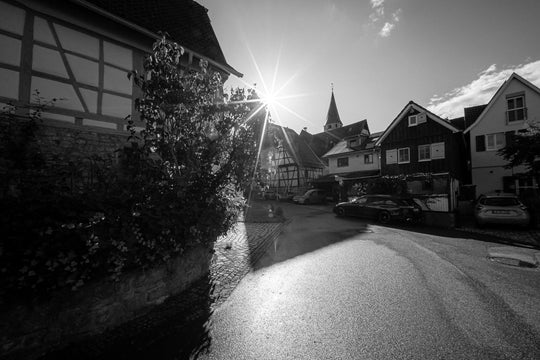 Wein & Historie | Weinberg-Tour mit Maeggi | 11.04.2026