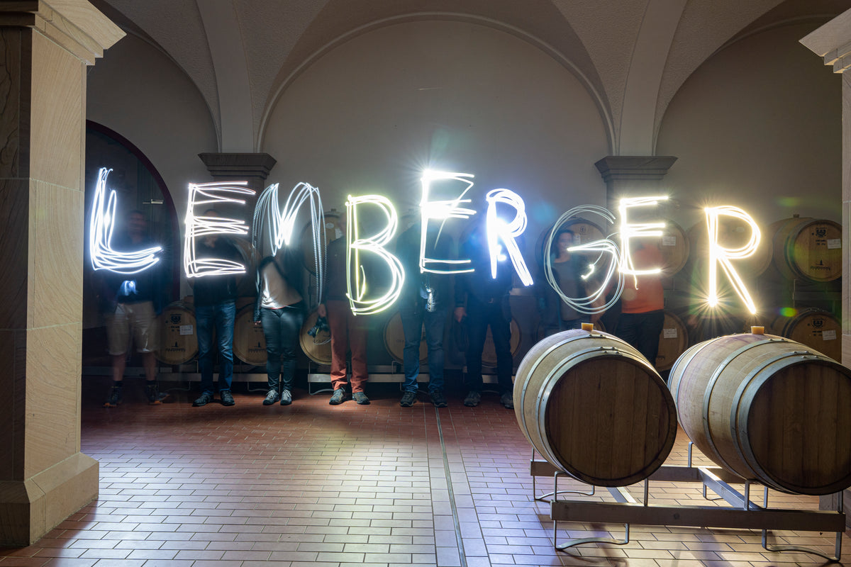 Weinberg & Kellergeflüster | Weinberg-Tour mit Judith | 29.03.2026