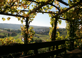 Ausgewildert – Wein, Kräuter, Genusstour | 26.04.