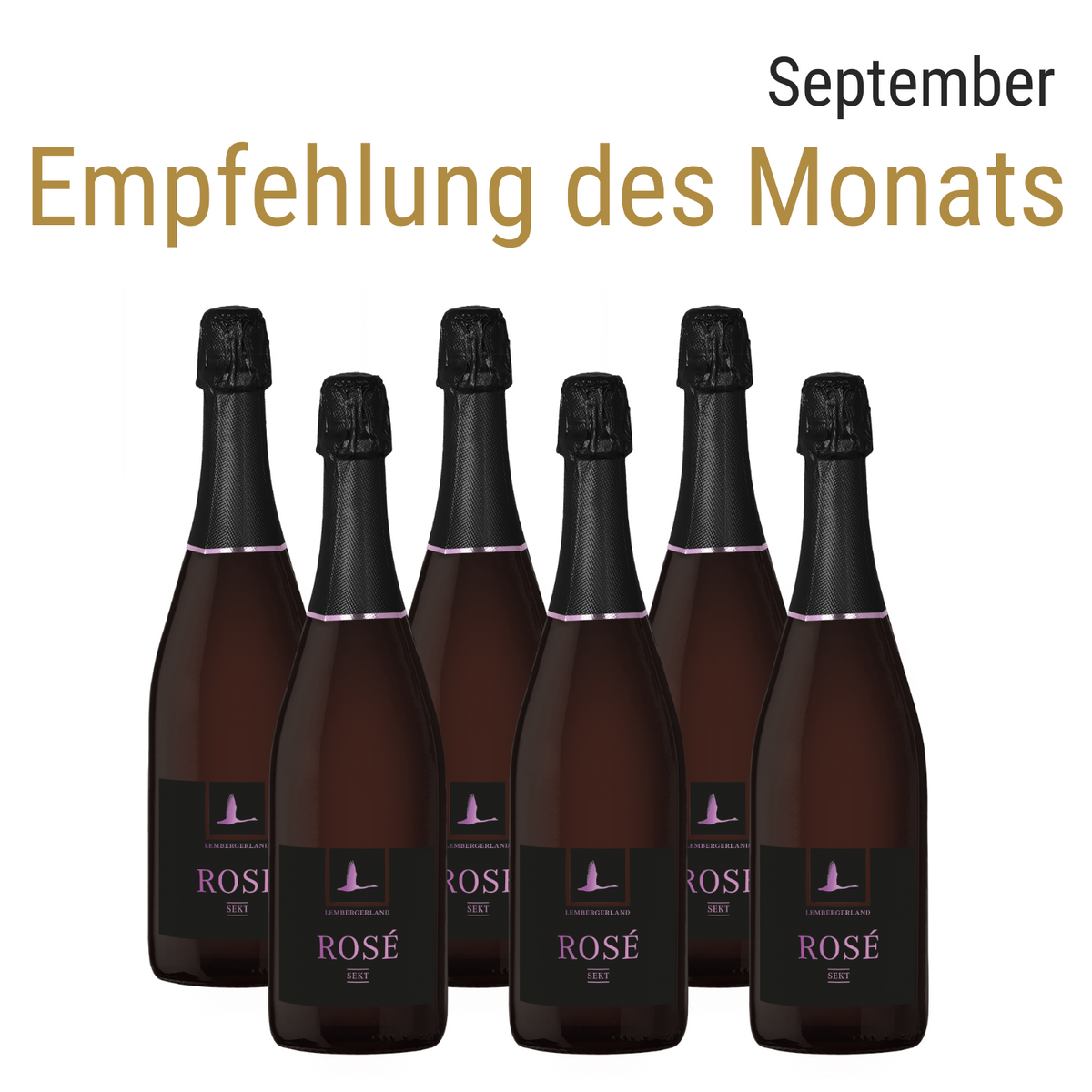 Empfehlung des Monats September | 6er Rosé Sekt Paket