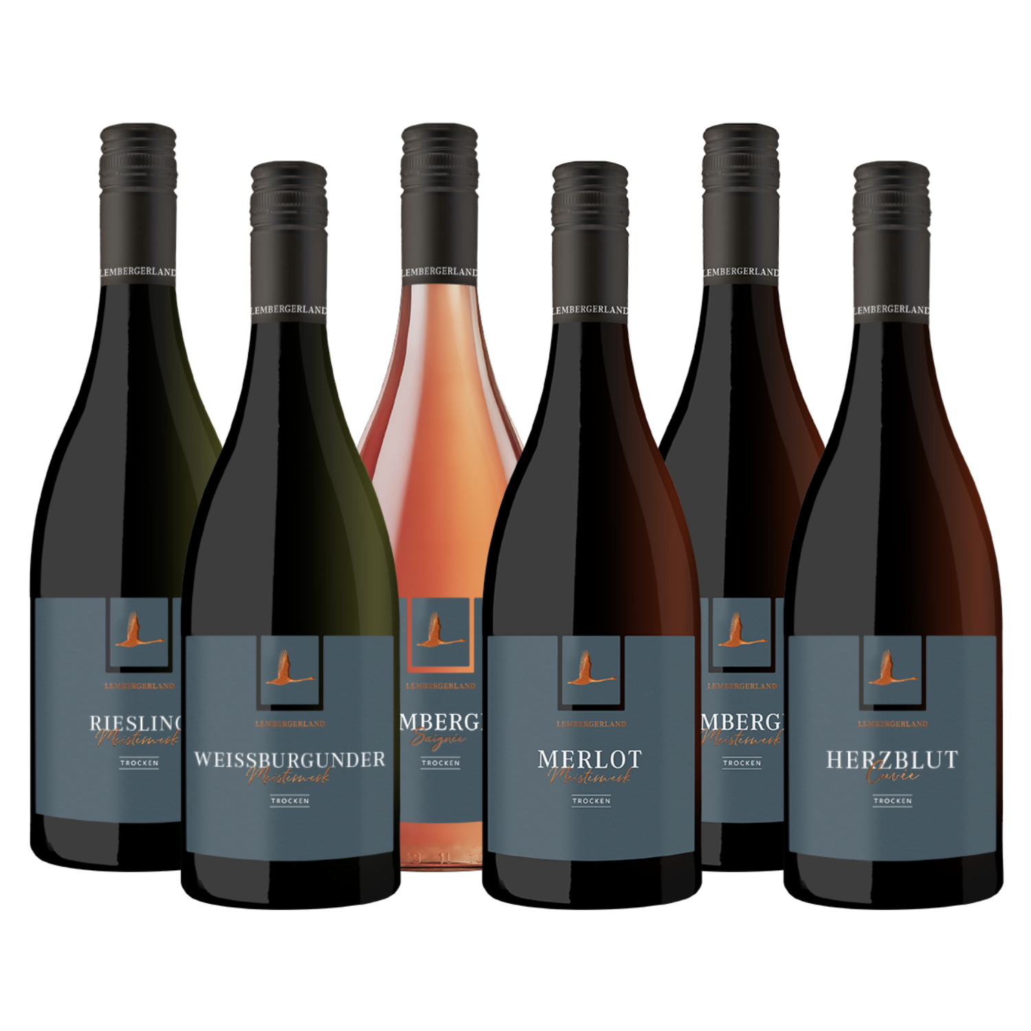Meisterwerke - 12er-Probierpaket