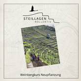 Steillagenkollektiv - Weinbergkurs Neuanlage im Weinberg | 21.03.2026