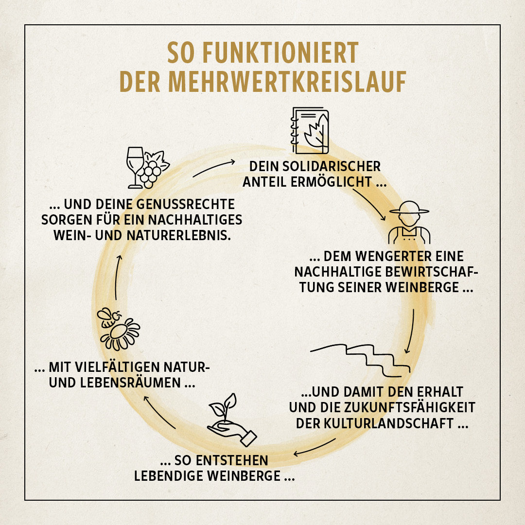 Steillagenkollektiv Mehrwertkreislauf