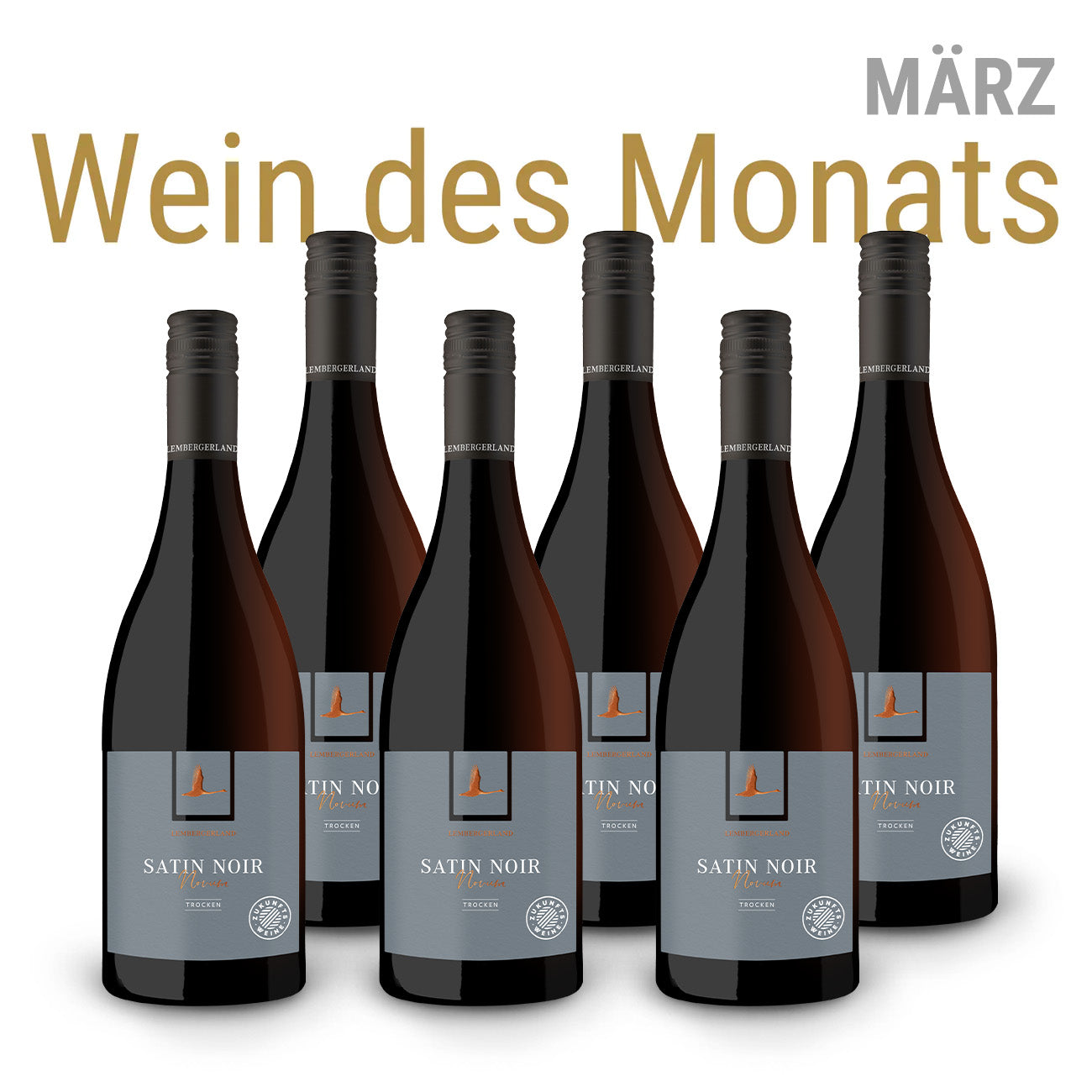 Wein des Monats März | 6er NOVUM Satin Noir trocken Paket