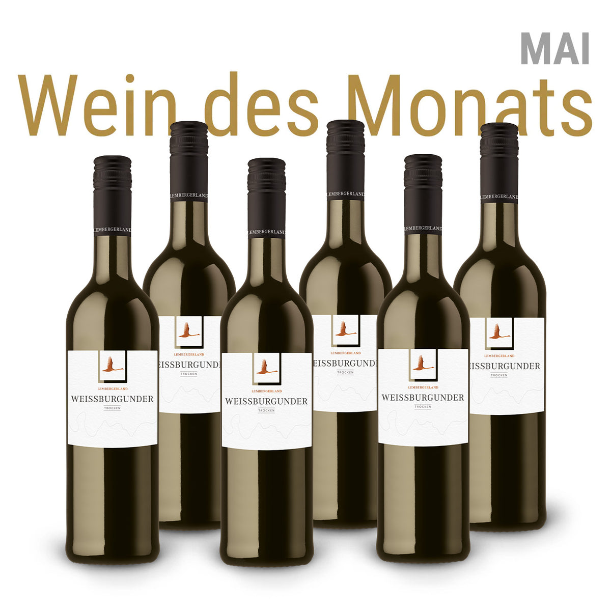 Wein des Monats Mai | 6er Weißburgunder trocken Paket