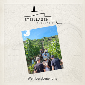 Steillagenkollektiv - Weinbergführung | Do. 04.09.2025 - Rosswag
