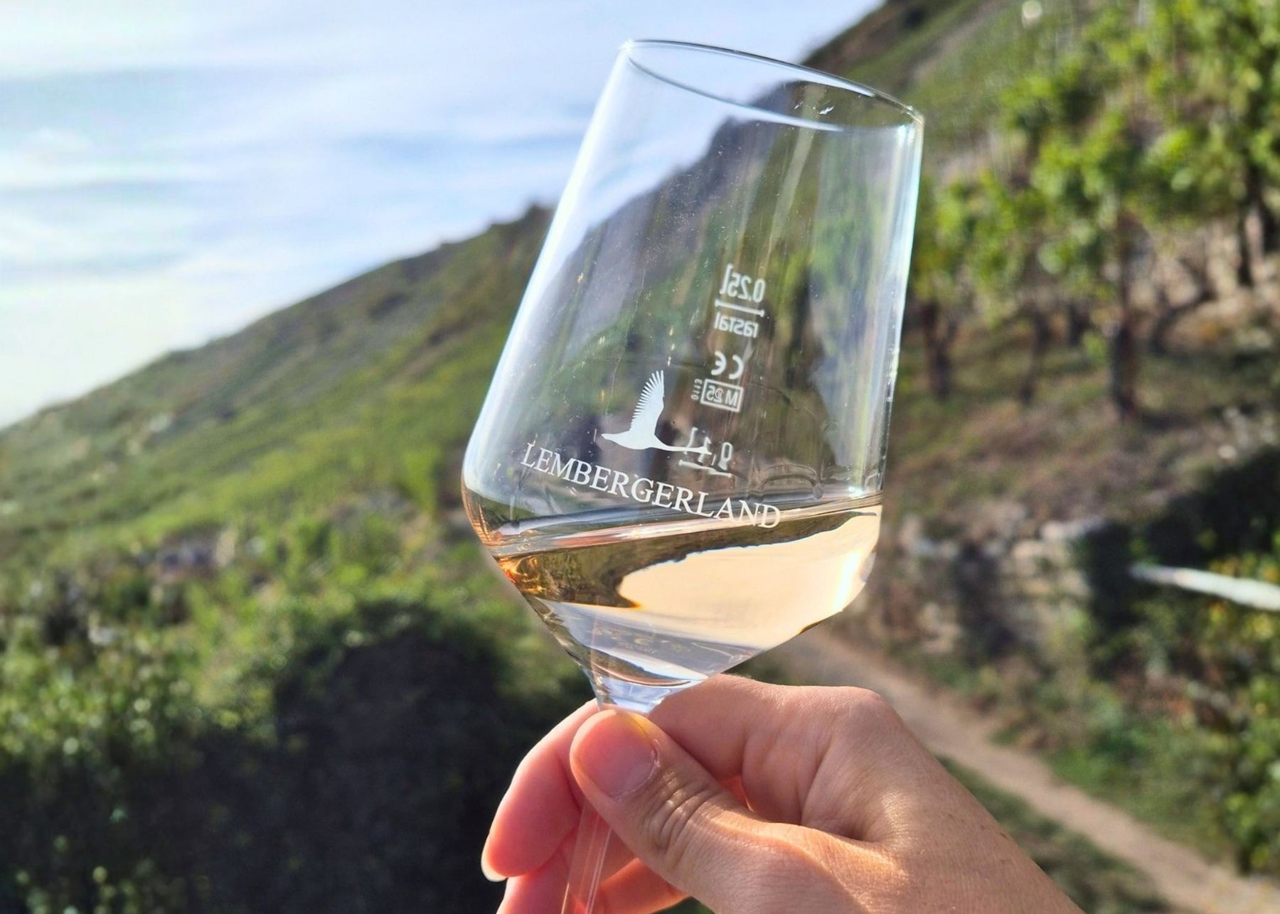 Weißwein & Sommerabend | Weinberg-Tour mit Gerlinde 26.06.2027