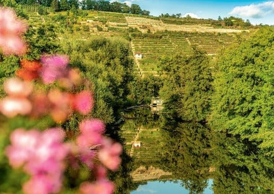 Ladies & Rosa Zeiten | 21.06.2026